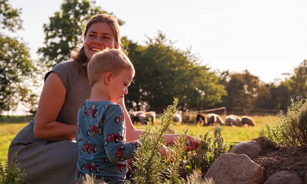 Kind und Erwachsene sammeln Kräuter auf der Wiese am Lernort Groß Volksitz auf Rügen, im Hintergrund Schafe.